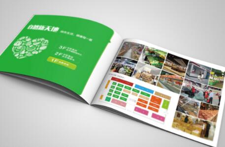 廣州廣告畫(huà)冊(cè)印刷多少錢(qián) 廣州品牌畫(huà)冊(cè)設(shè)計(jì)印刷