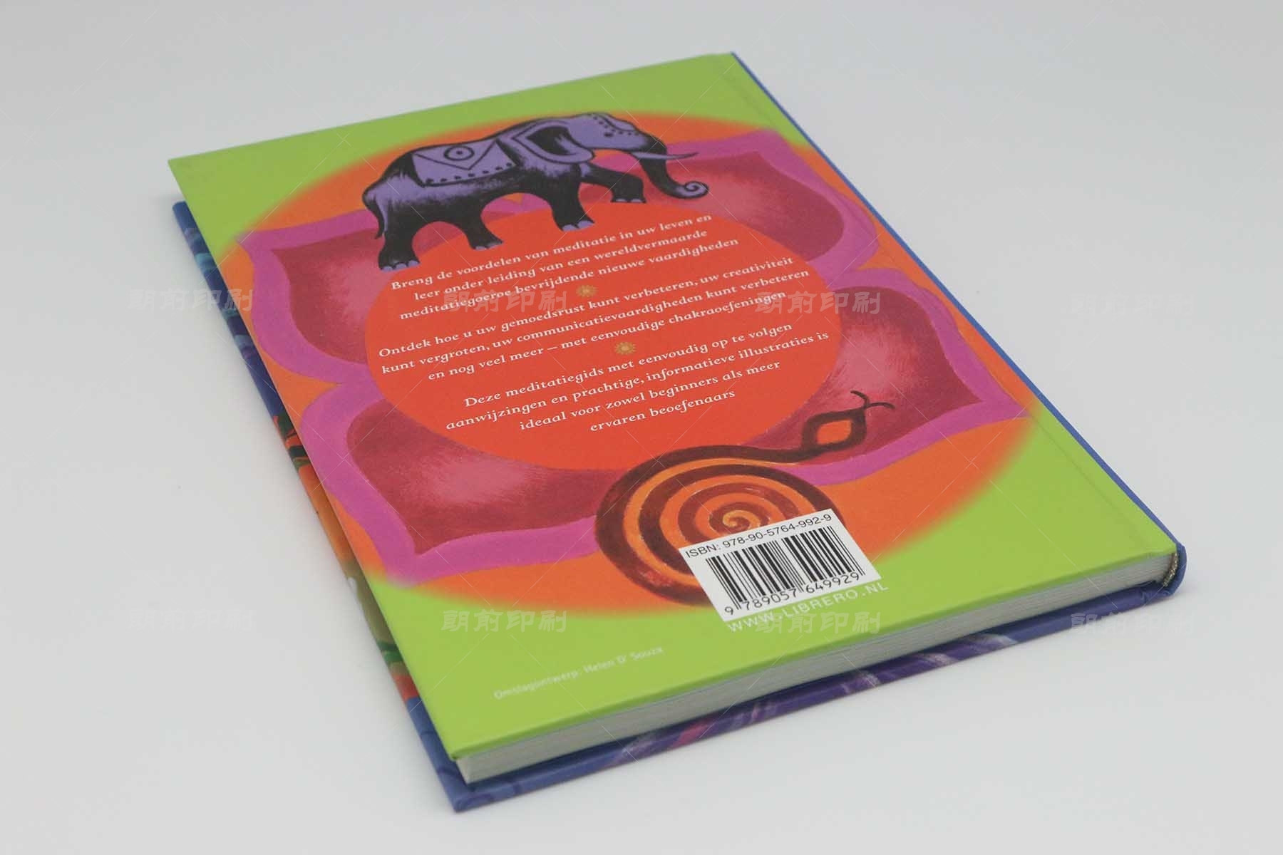 廣州宣傳畫冊(cè)怎么印刷 廣州制作模真公司宣傳畫冊(cè)