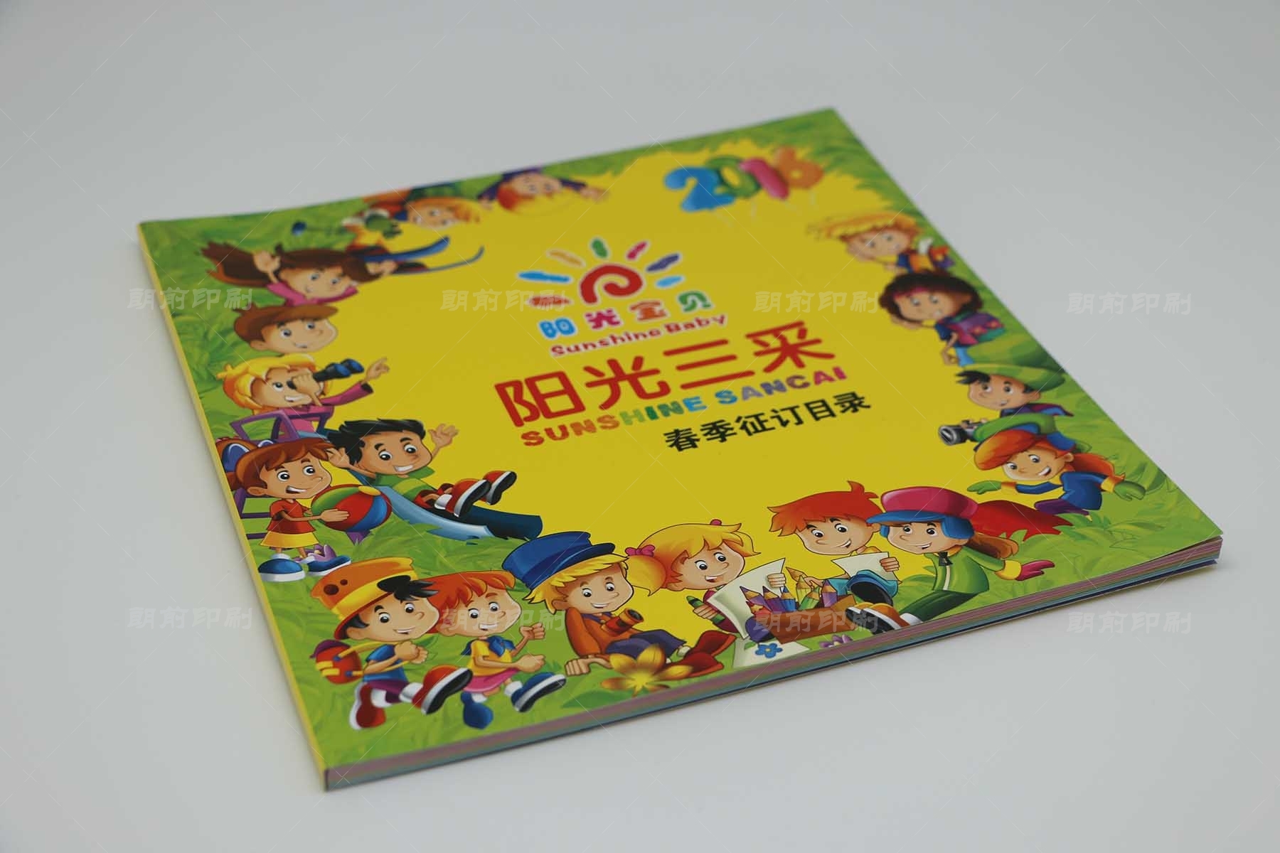 廣州專業(yè)畫(huà)冊(cè)印刷多少錢(qián) 廣州提供畫(huà)冊(cè)設(shè)計(jì)印刷