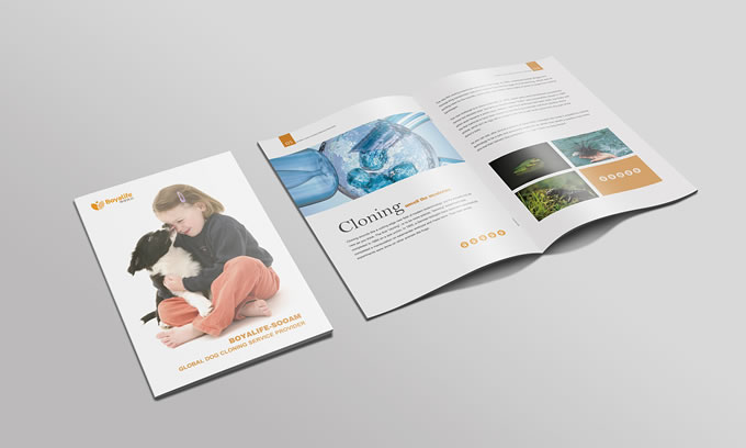 廣州印刷品報(bào)價(jià) 廣州書刊畫冊設(shè)計(jì)印刷