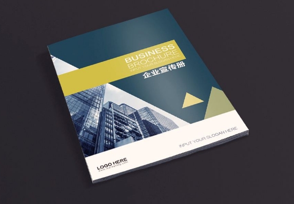 廣州企業(yè)畫冊設計印刷制作 廣州制作畫冊公司簡介