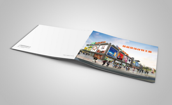 廣州印刷一本畫冊(cè)多少錢 廣州鎮(zhèn)畫冊(cè)制作公司