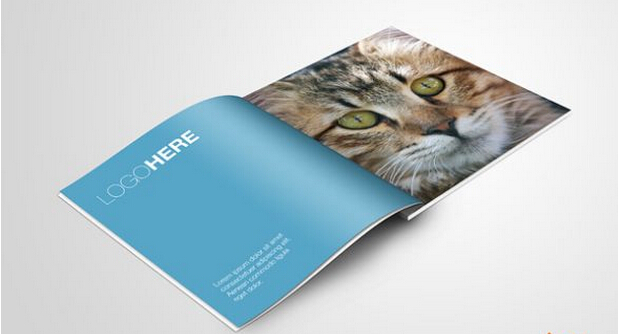 廣州制作畫(huà)冊(cè)公司簡(jiǎn)介 廣州企業(yè)畫(huà)冊(cè)制作公司