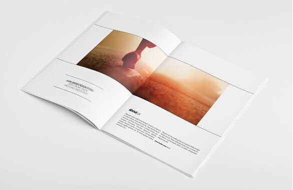 廣州設(shè)計印刷 廣州企業(yè)畫冊印刷紙有哪些圖片