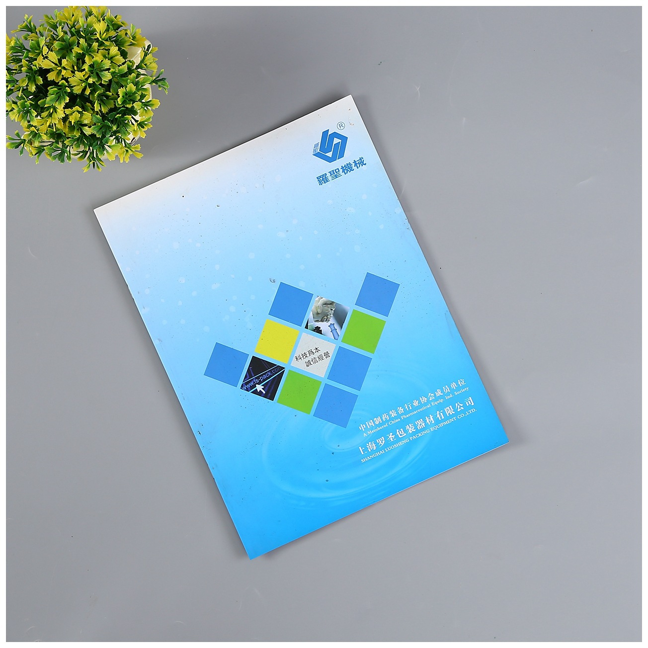 廣州設(shè)計印刷 廣州彩色印刷